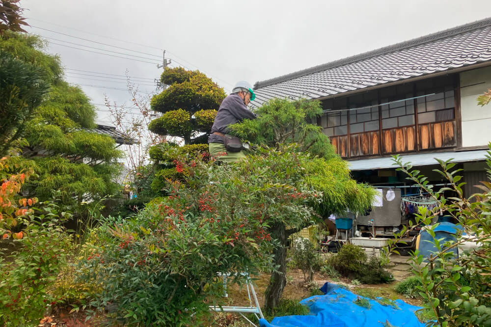 お庭の剪定サービス
