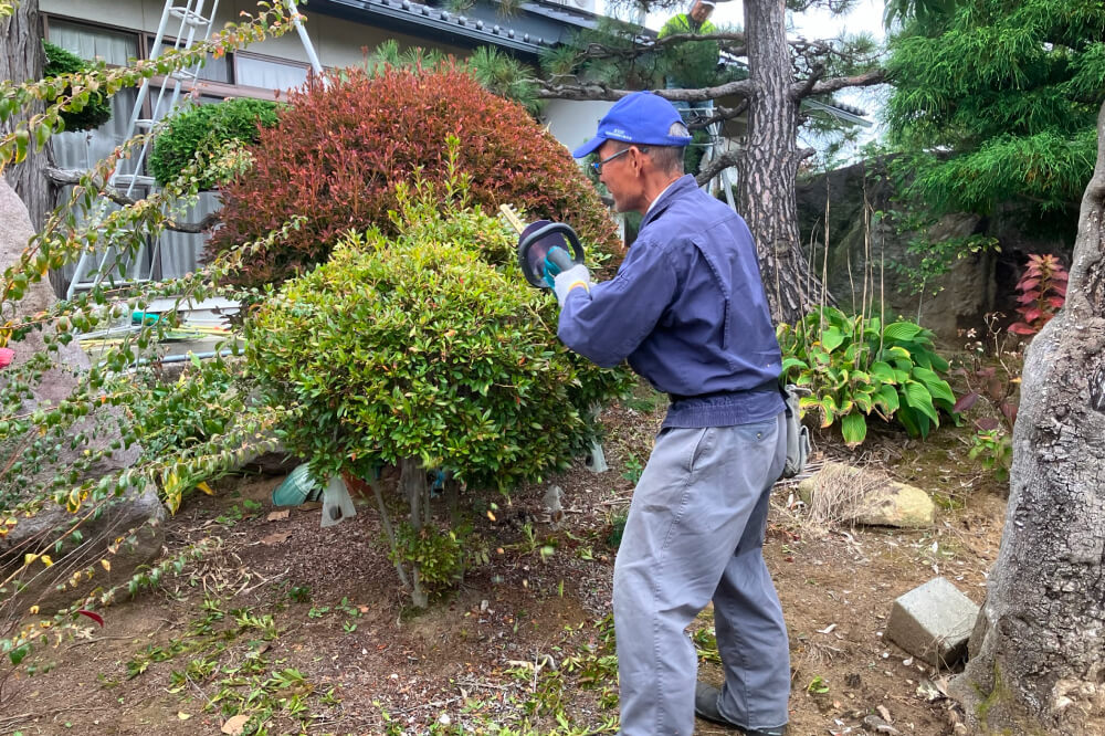 お庭の剪定サービス