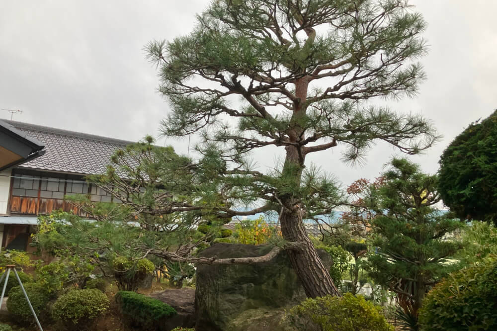 お庭の剪定サービス