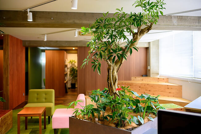 ファインピクサー