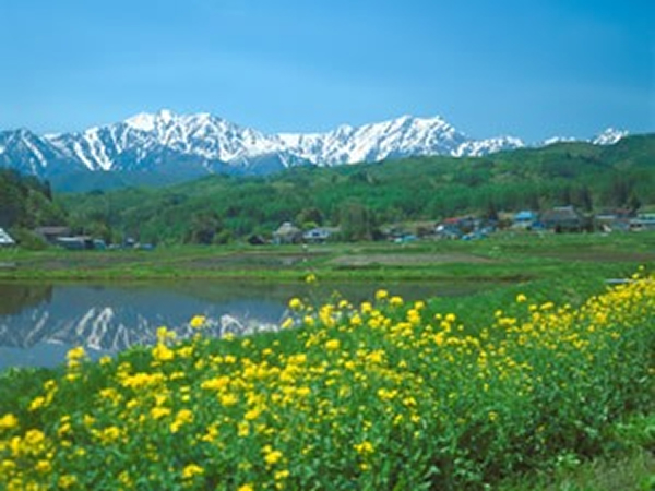 日本アクティブ