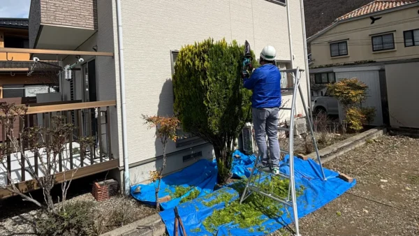 剪定 作業中