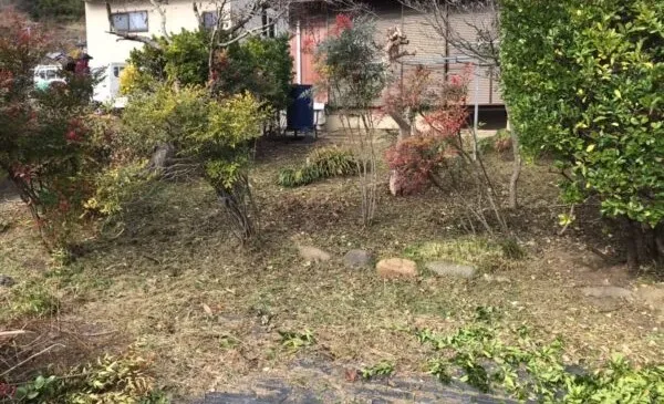 雑草が生い茂る空き家の庭