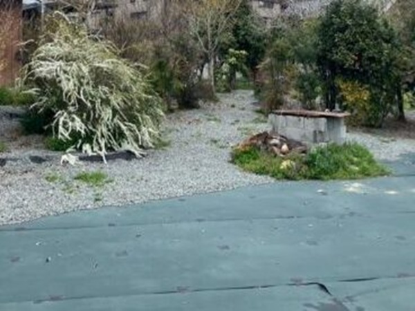 実家の庭の管理はどうする？長野市での草刈り・防草シート施工事例