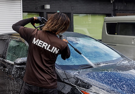 Merlin