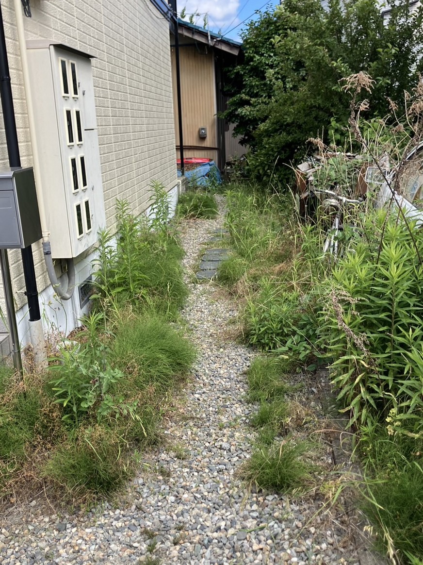 【長野市更北地区】とげのある草も、広い敷地も！アパート・自宅・離れの草刈りまとめて解決