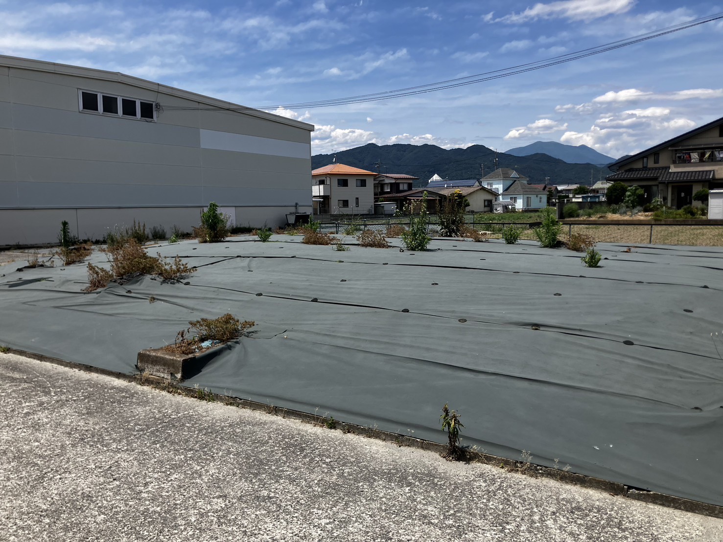 【長野市更北地区】県外からの草取りに終止符。地元密着で企業様の広大な敷地をサポート