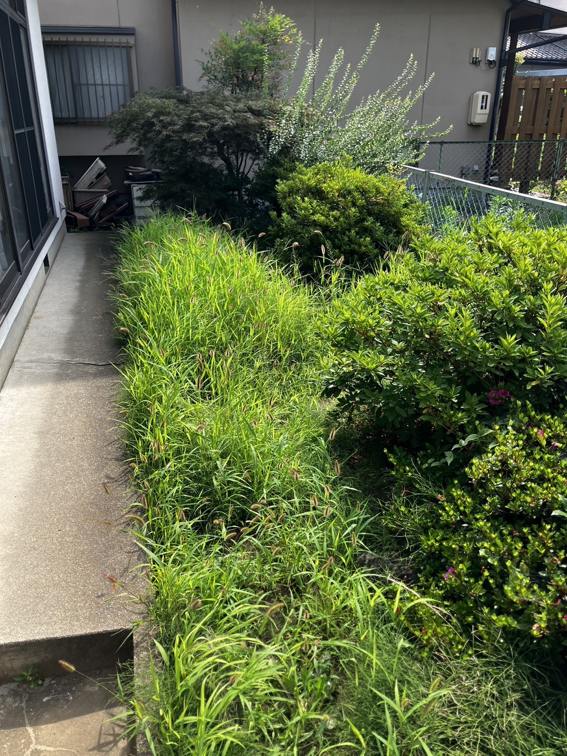 【長野市北部】空き家の草取りも安心してお任せ。定期管理で近隣への影響をゼロに