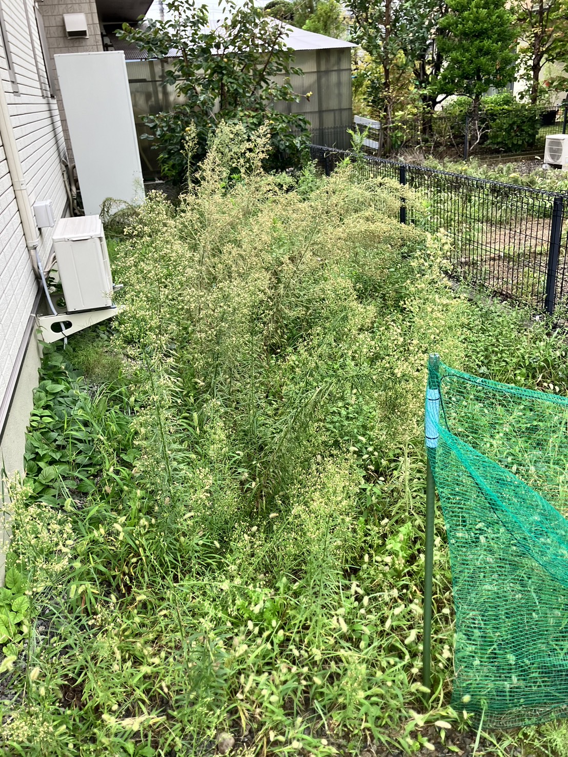 【長野市南部】初めて草取りをお任せいただきました。「こんなに綺麗になるとは！」と大好評